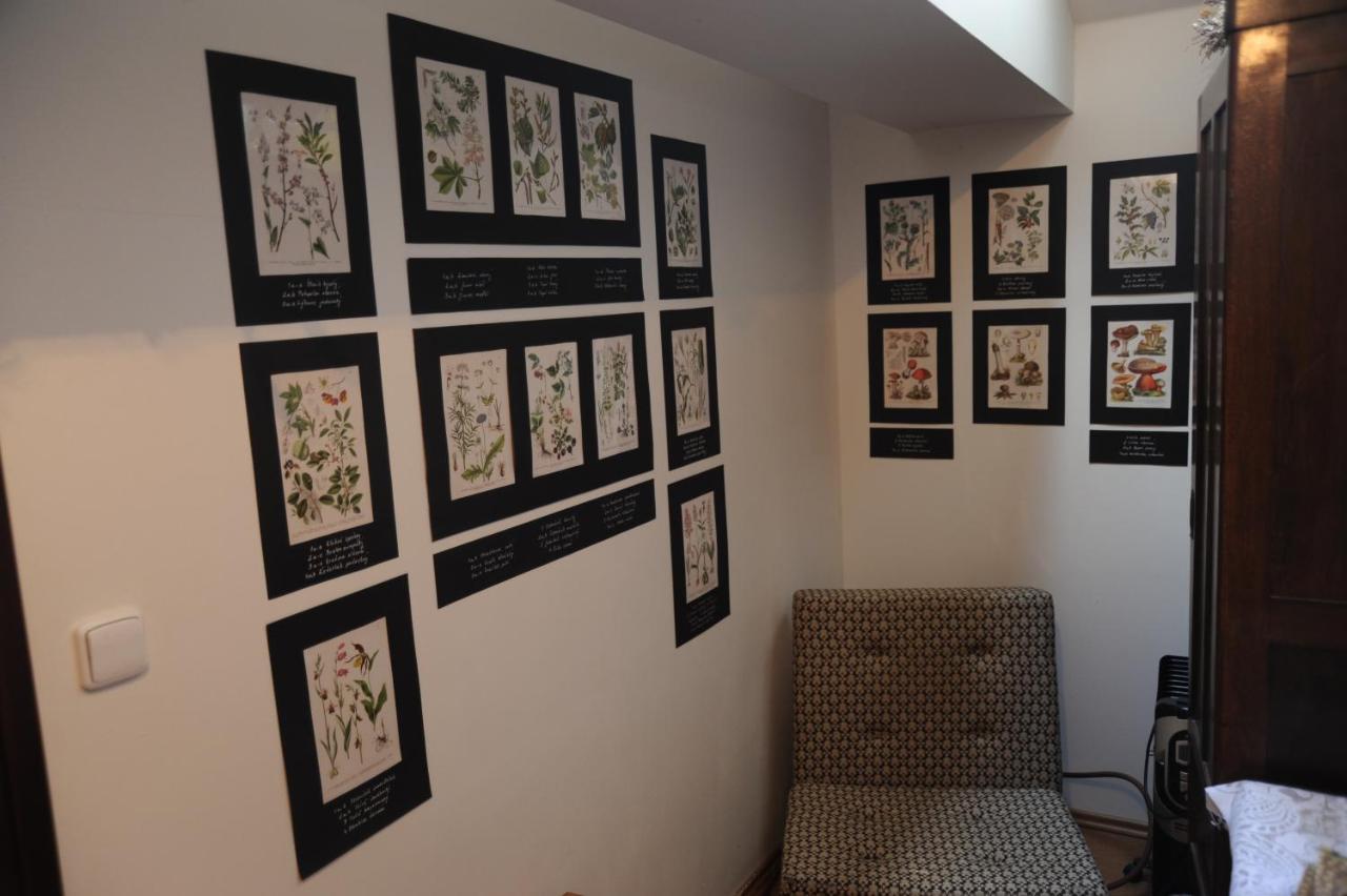 Apartma V Pivovaru Genius Noci Lomnice  Luaran gambar